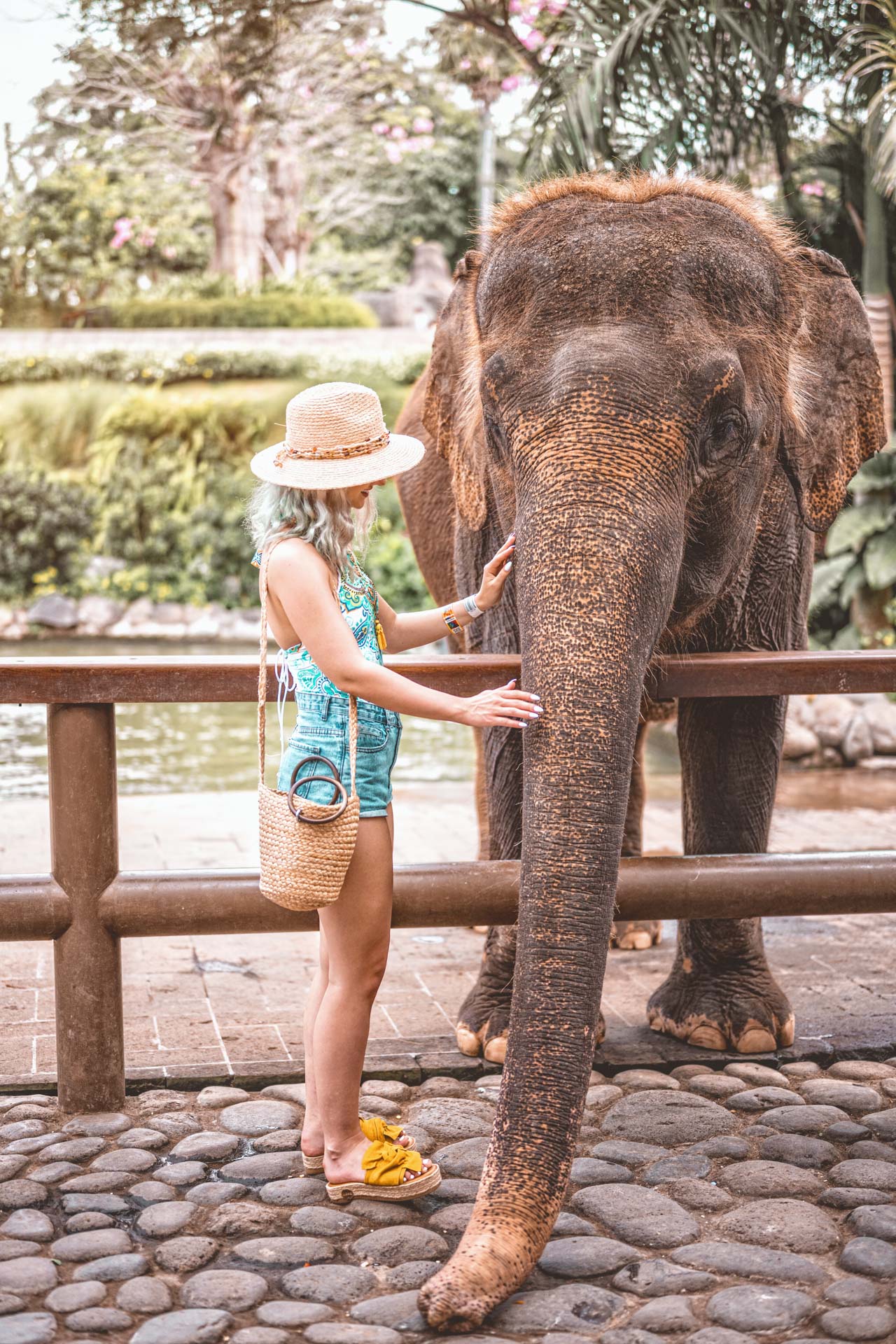Am mangaiat elefantul in Bali Turul Vilei_Iulia Andrei